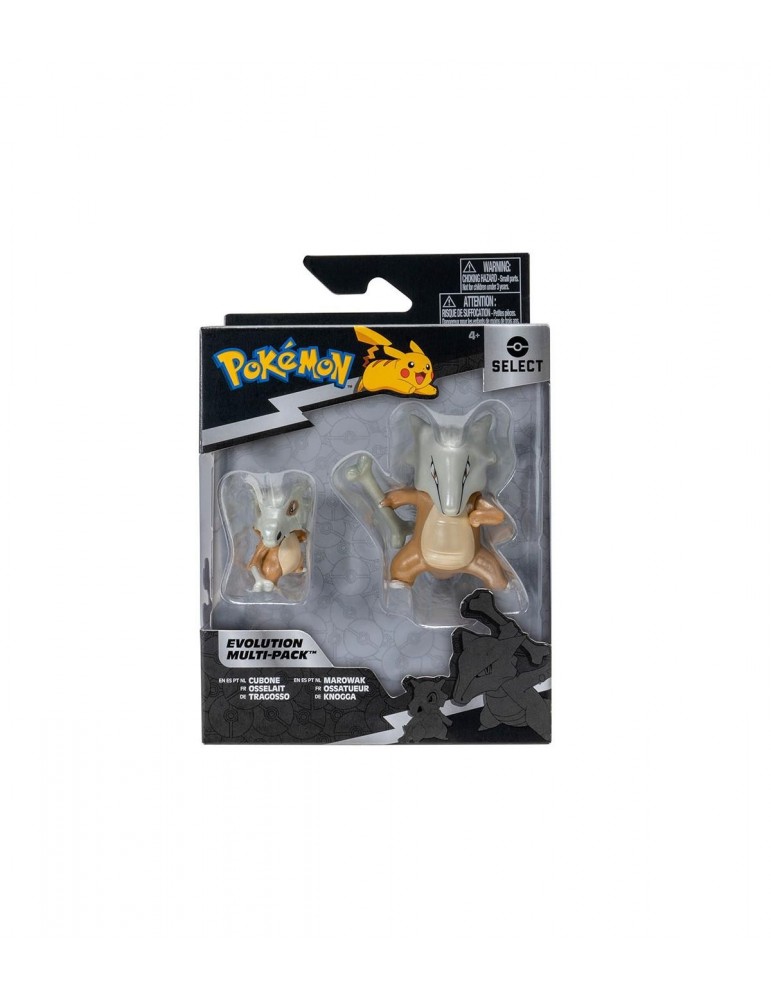 PACK EVOLUTION DOBLE